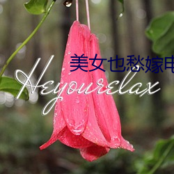 美女也愁嫁电视剧