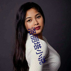 洛丽塔小说