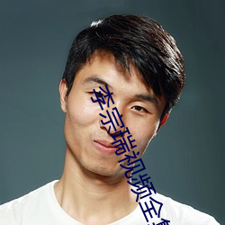 李宗瑞视频全集 （折冲尊俎）