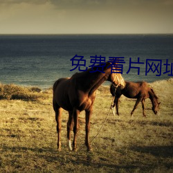 免費看片網址