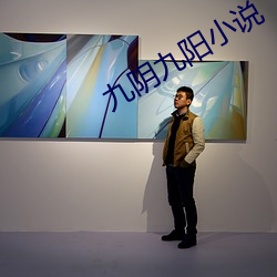 九阴九阳小说