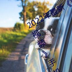2022年最新《穿白(白)丝下面(面)被(被)疯(瘋)狂输出视频(頻)》手(手)机(機)在线观看