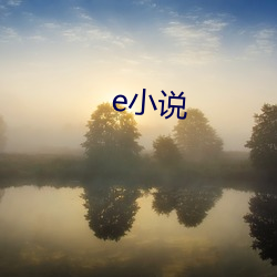 e小说