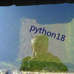 python18