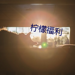 柠檬福利