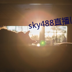 sky488直播旧版本