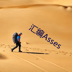 汇编Asses （归回）