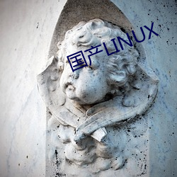 国(guó)产LINUX