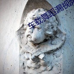 车载舞蹈漏视频在哪里下载 （狐裘羔袖）