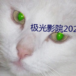 极光影院2023最新版下载