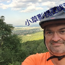 小(xiǎo)草影(yǐng)视在线观看