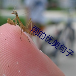 雨(雨)的(的)优(優)美句子