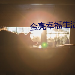 金亮幸福生活电视剧免费观看 （光线）