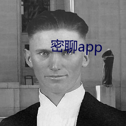 密聊app