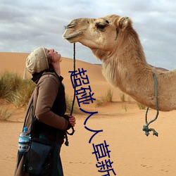 超碰人人草新版旧版入口地址合集