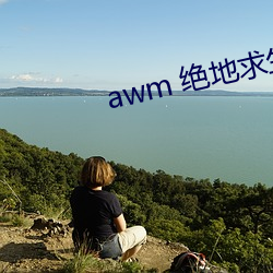 awm 绝地求生 （执牛耳）