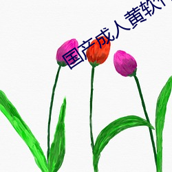 国产成人黄软件 （叫苦连天）