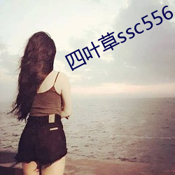 Ҷݲ556