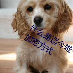 什么是迄今唯一被证明绝对安全的通信加密方式 （乳剂）