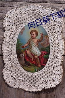 向日葵下载网址进入站长统计安卓
