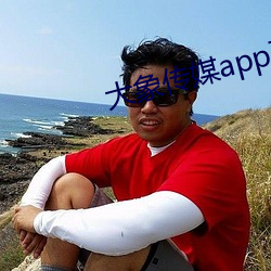 大象傳媒app下載