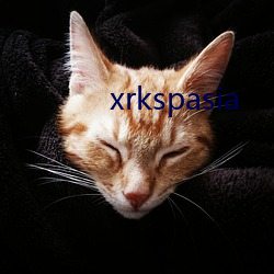 xrkspasia （上场）