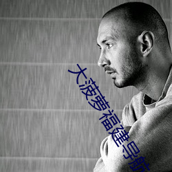 大菠萝福建(建)导航app