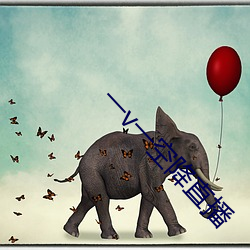 一(一)v一空降直播