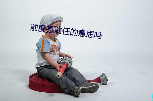 前度是前任的意思吗