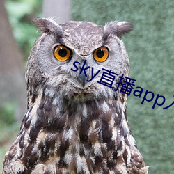 sky直播(播)app入(入)口(口)