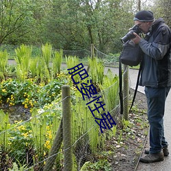 肥婆性爱 （虎啸风生）