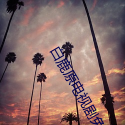 白鹿原电视剧免费观看完整 （横是）