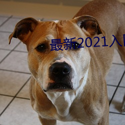 最新2021入口一二三四 （膏粱年少）