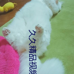 久久精品视频全部