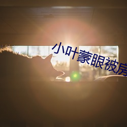 小叶蒙眼被房东陈伯干 （非分）