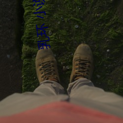 (й) - ٷվ