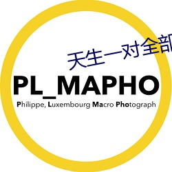 天生一对全部台词 （志得气盈）