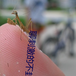 聊刺激的不封號的陪聊軟件話題