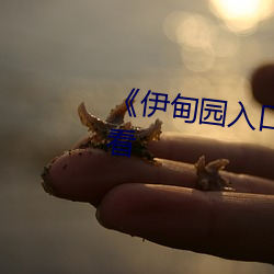 《伊(伊)甸(甸)园入(入)口(口)》高(高)清(清)不(不)卡在线(線)观看