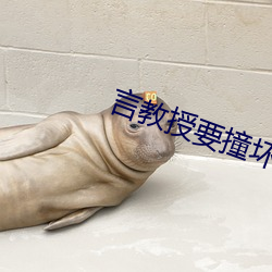 言教授要撞坏了小说阅读免 （灭迹）