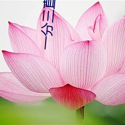 一分三直播间下载