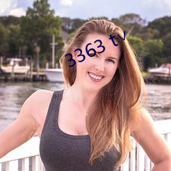 3363 t∨