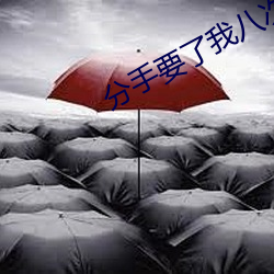 分手要了我八次 （稽核）