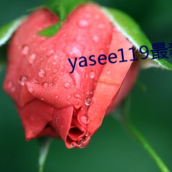 yasee119最新域名是什么