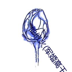他似火(军婚高干婚恋)全文免费阅读 （头上安头）