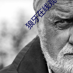 狼牙在线观看免费完整版直 （作者）