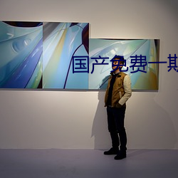 国(國)产免(免)费(費)一期二期三期区别(別)