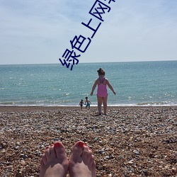 绿色上(上)网软(軟)件下载