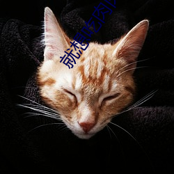 就想吃肉肉的所有作品小說