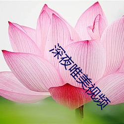 金年会 | 诚信至上金字招牌